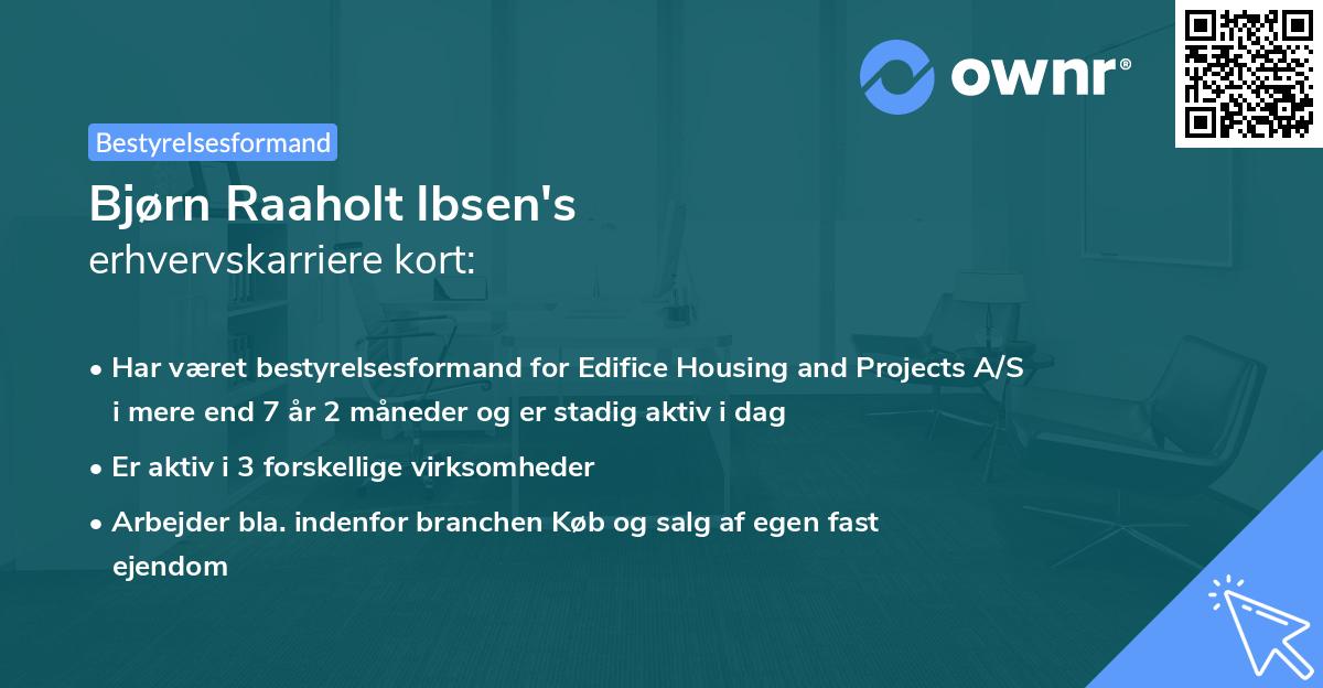 Bjørn Raaholt Ibsen's erhvervskarriere kort