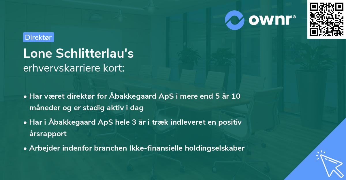 Lone Schlitterlau's erhvervskarriere kort