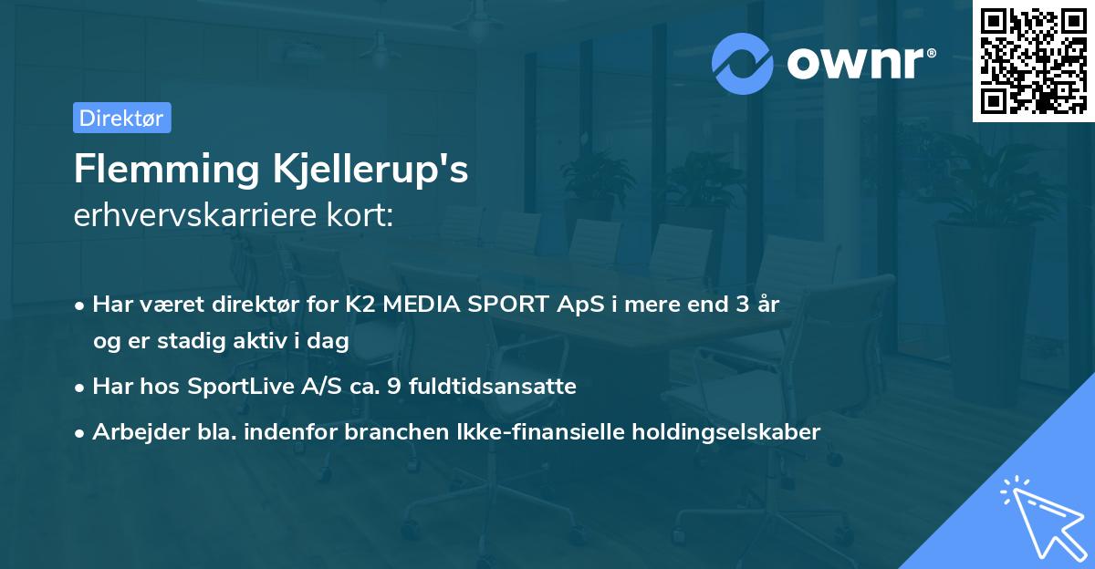 Flemming Kjellerup's erhvervskarriere kort