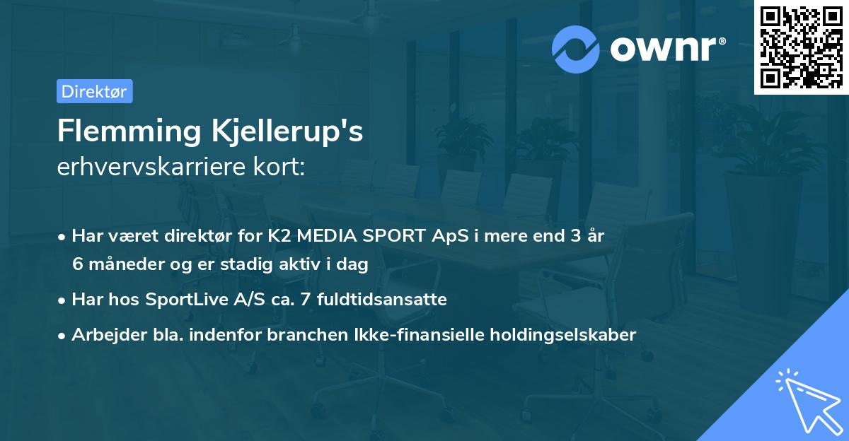 Flemming Kjellerup's erhvervskarriere kort