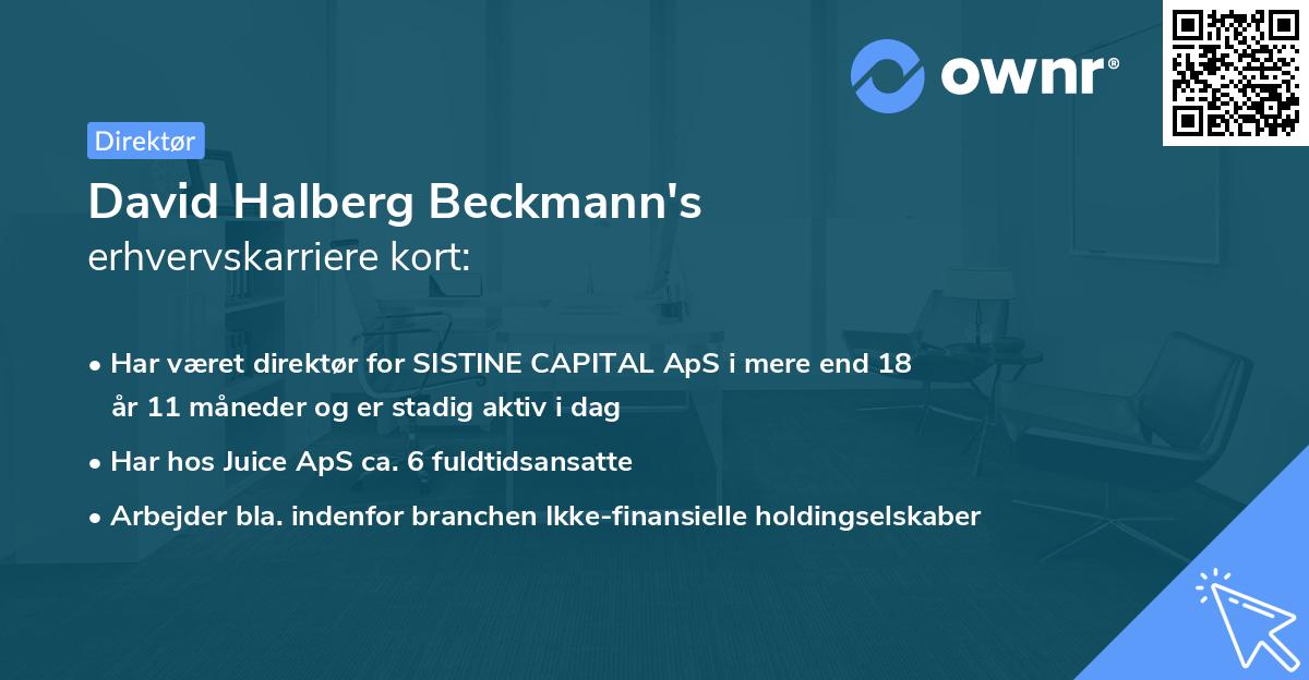 David Halberg Beckmann's erhvervskarriere kort