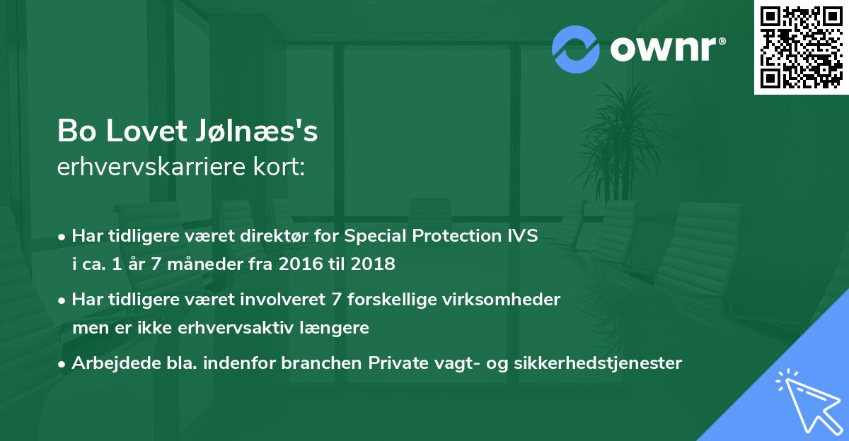 Bo Lovet Jølnæs's erhvervskarriere kort