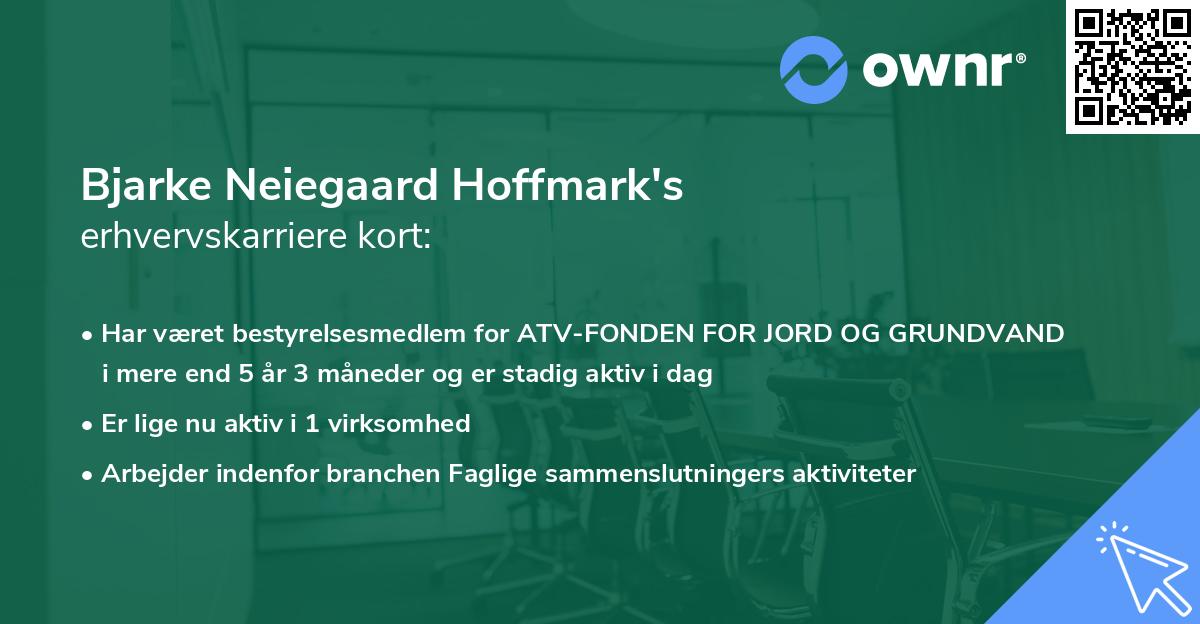 Bjarke Neiegaard Hoffmark's erhvervskarriere kort