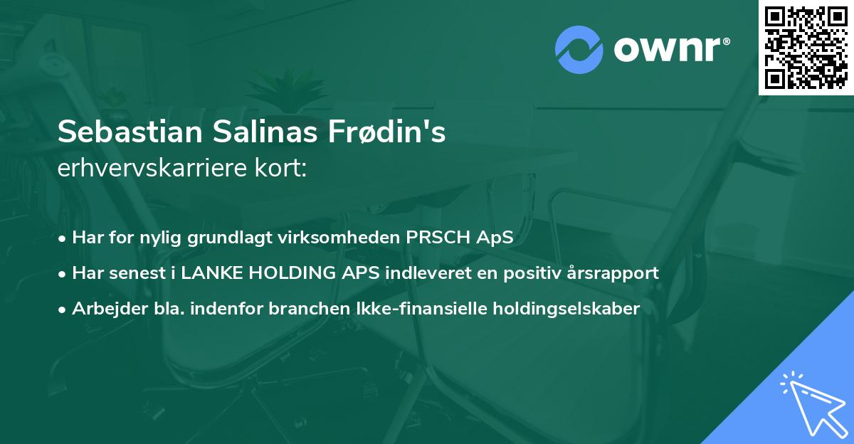 Sebastian Salinas Frødin's erhvervskarriere kort
