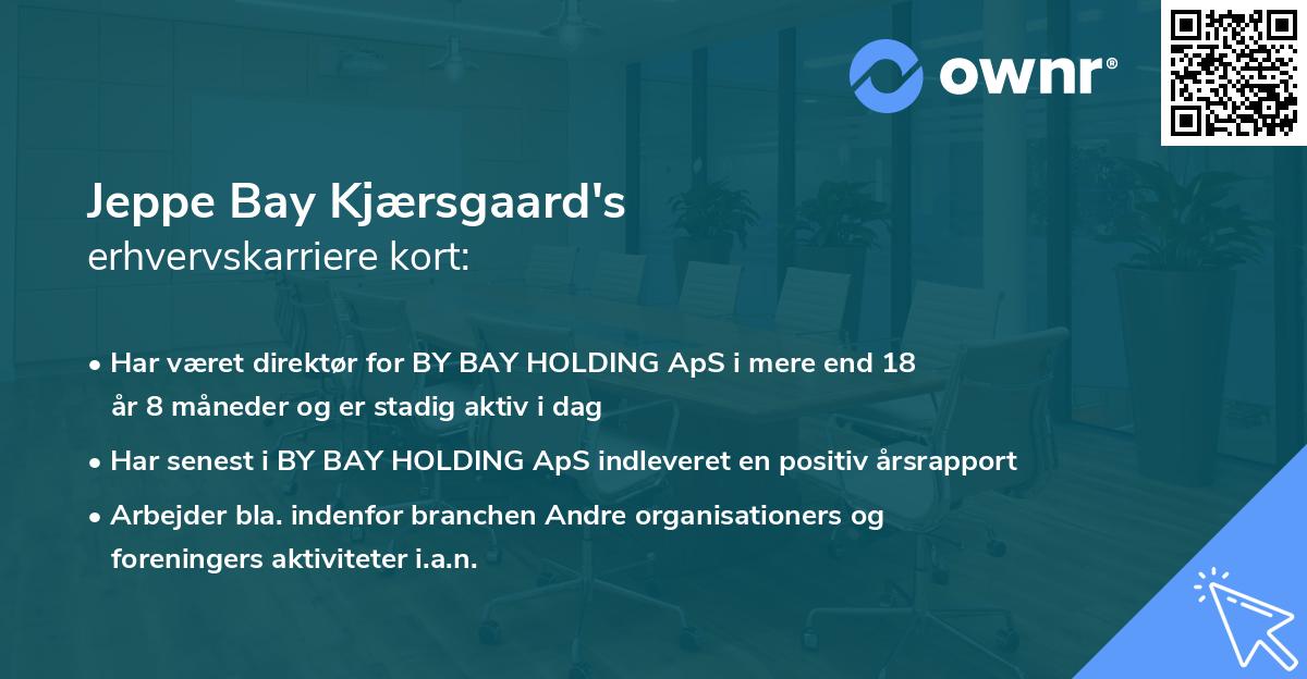 Jeppe Bay Kjærsgaard's erhvervskarriere kort