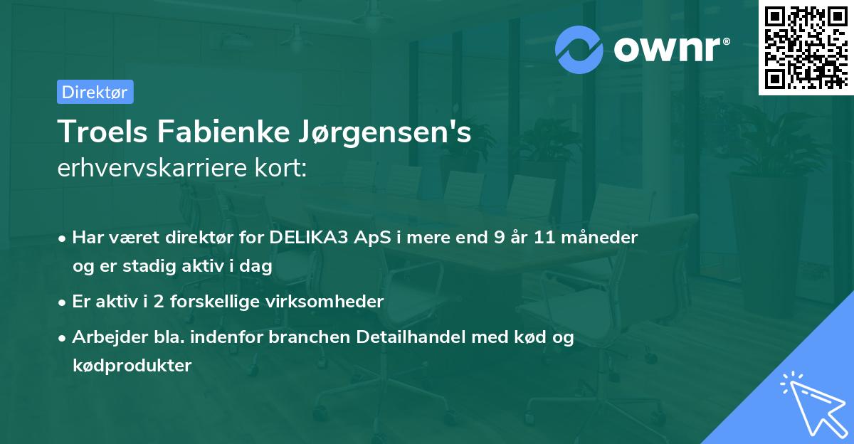 Troels Fabienke Jørgensen's erhvervskarriere kort