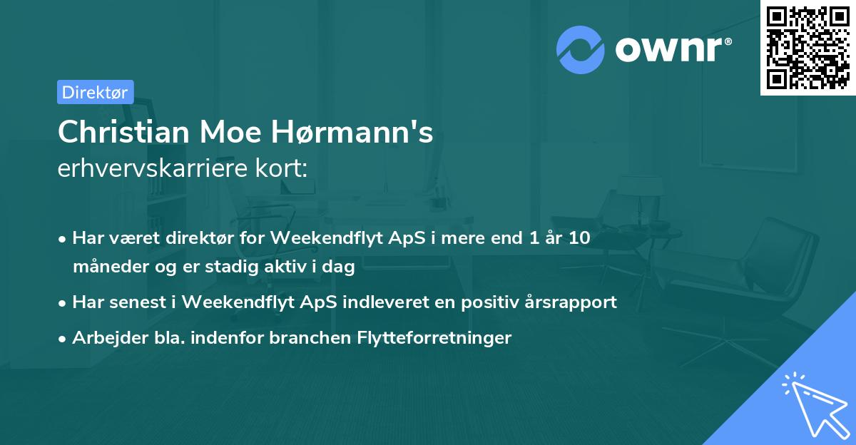 Christian Moe Hørmann's erhvervskarriere kort