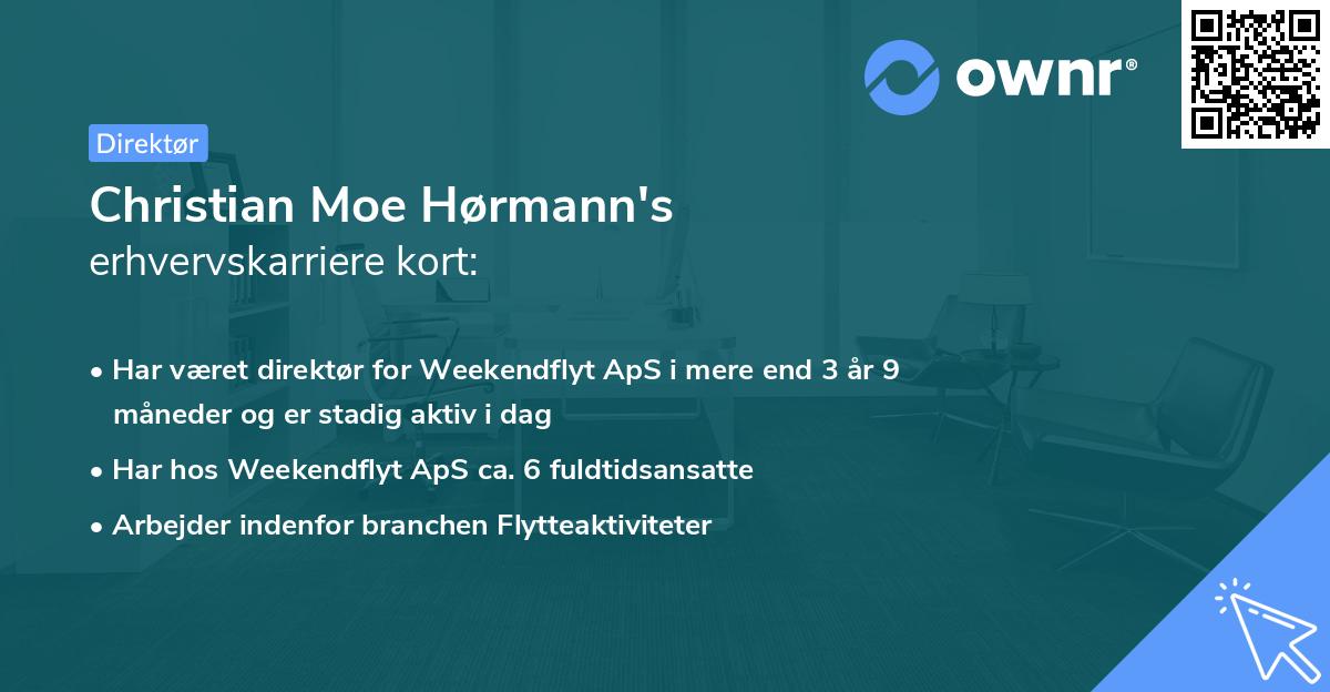 Christian Moe Hørmann's erhvervskarriere kort