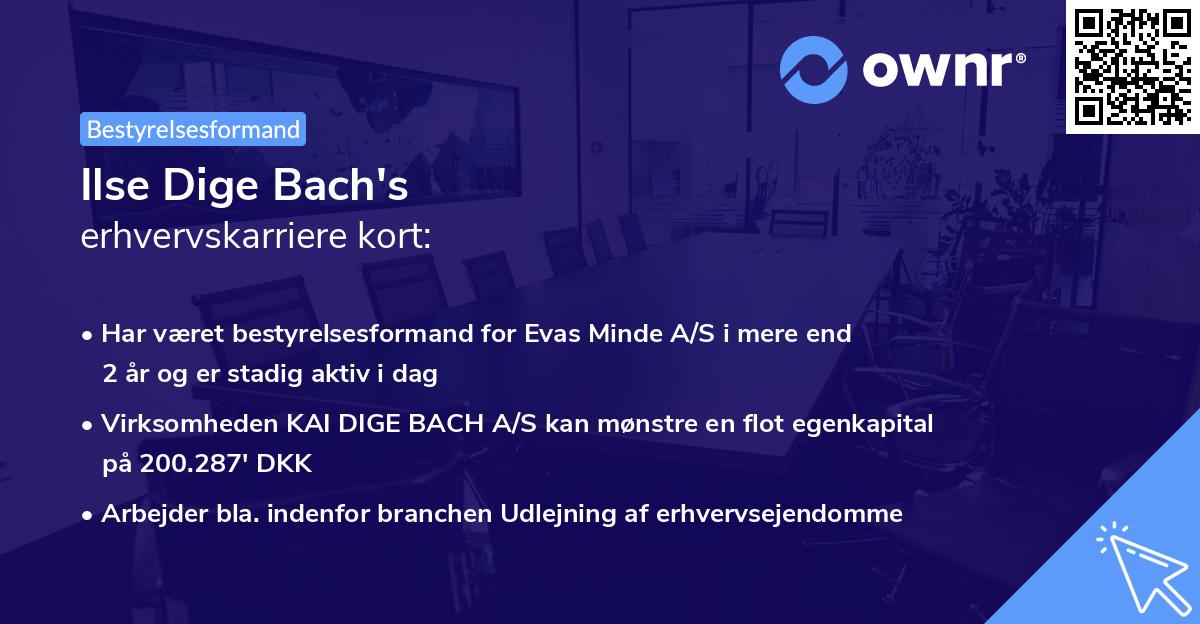 Ilse Dige Bach's erhvervskarriere kort