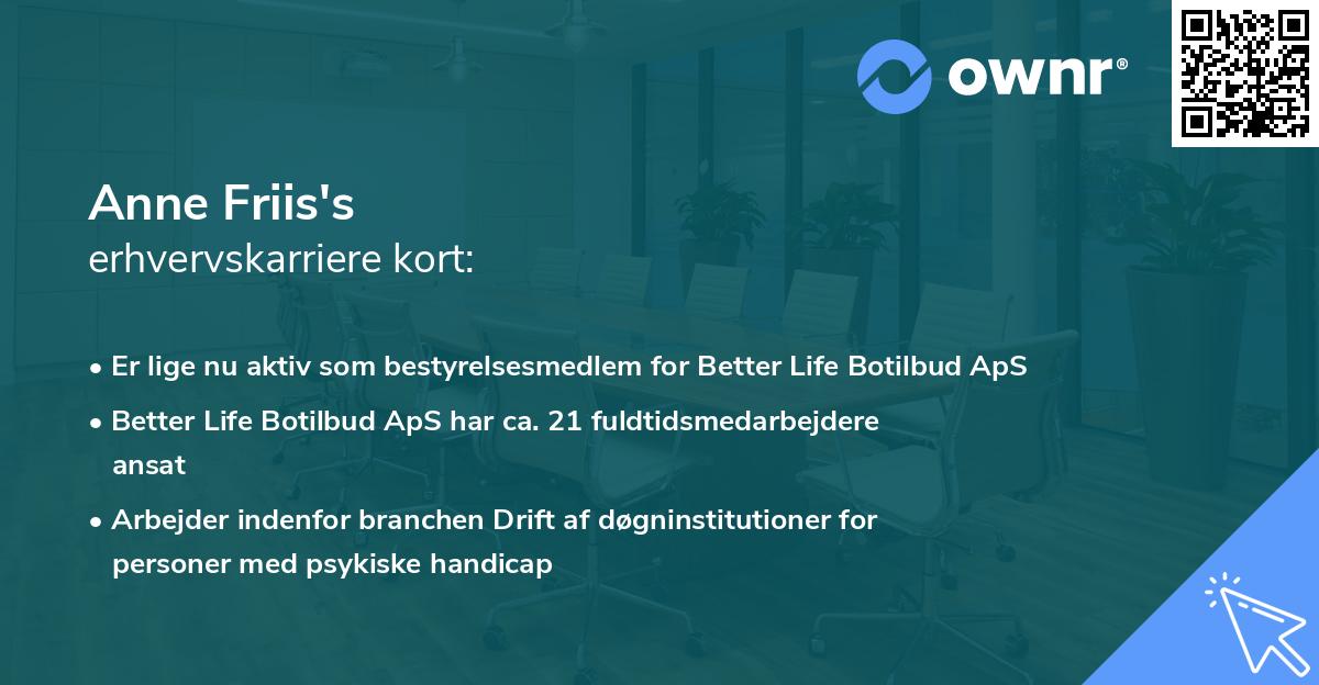 Anne Friis's erhvervskarriere kort