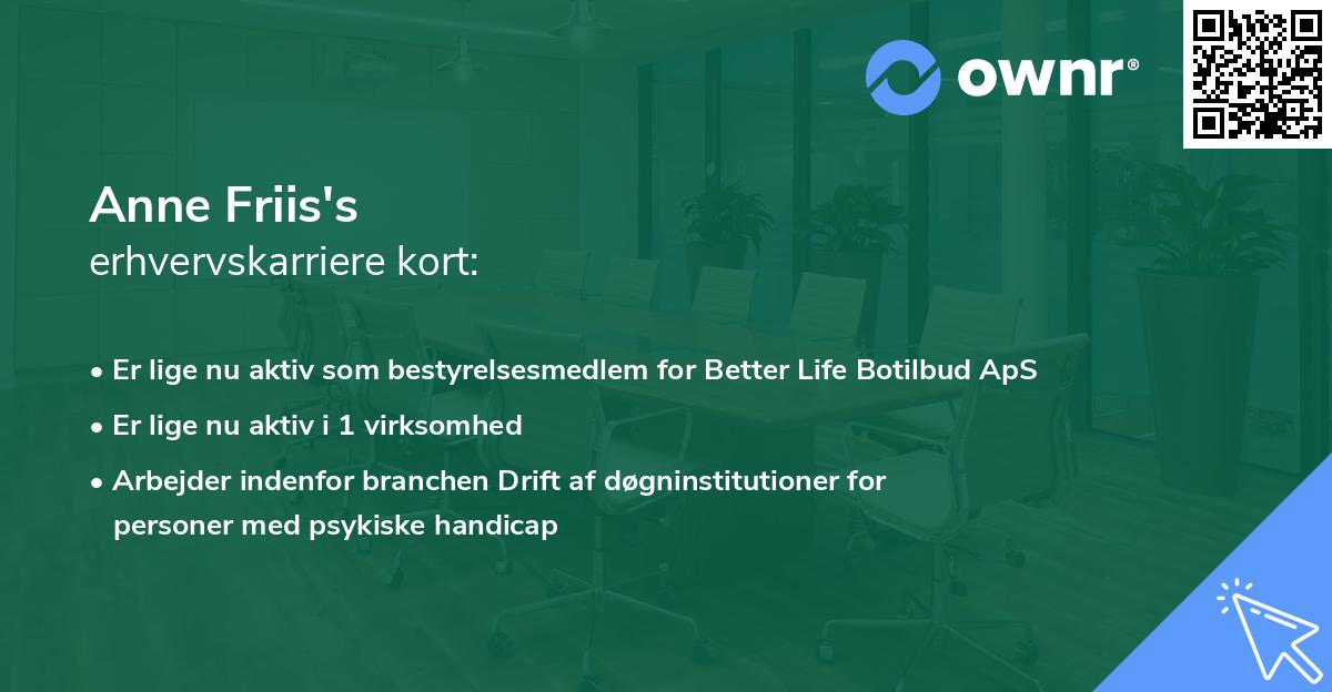 Anne Friis's erhvervskarriere kort