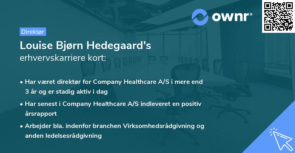 Louise Bjørn Hedegaard's erhvervskarriere kort