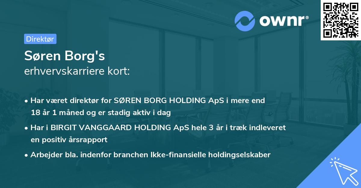 Søren Borg's erhvervskarriere kort