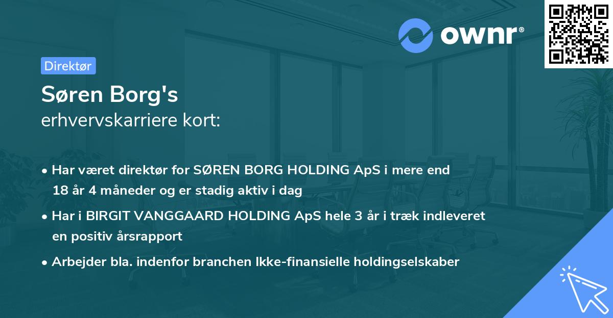Søren Borg's erhvervskarriere kort