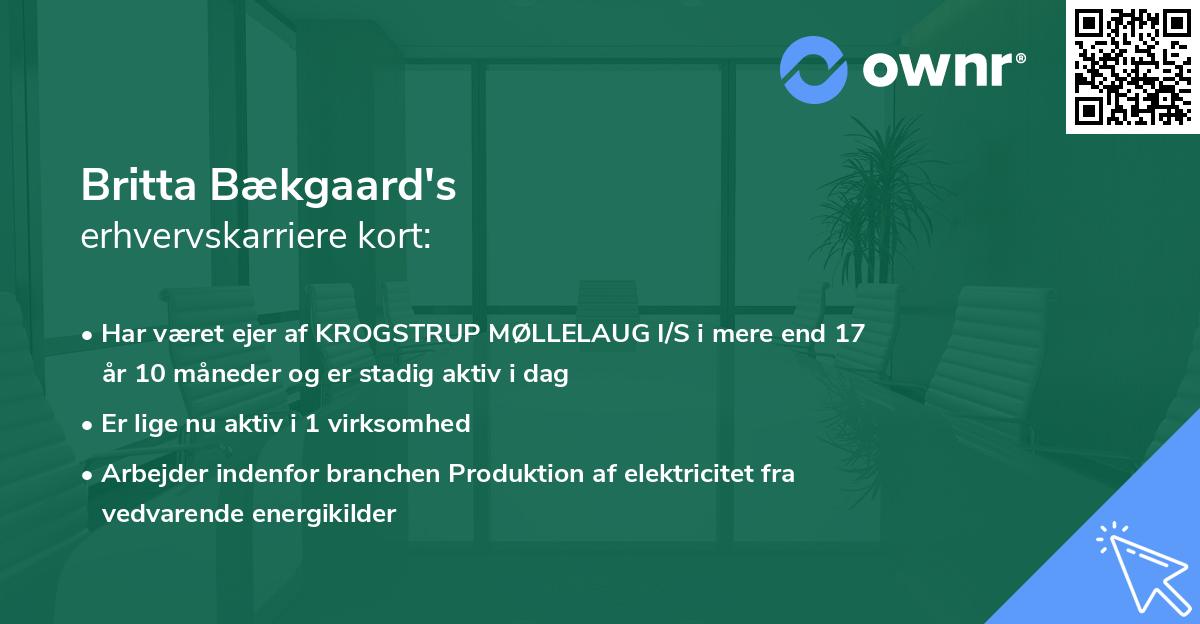 Britta Bækgaard's erhvervskarriere kort