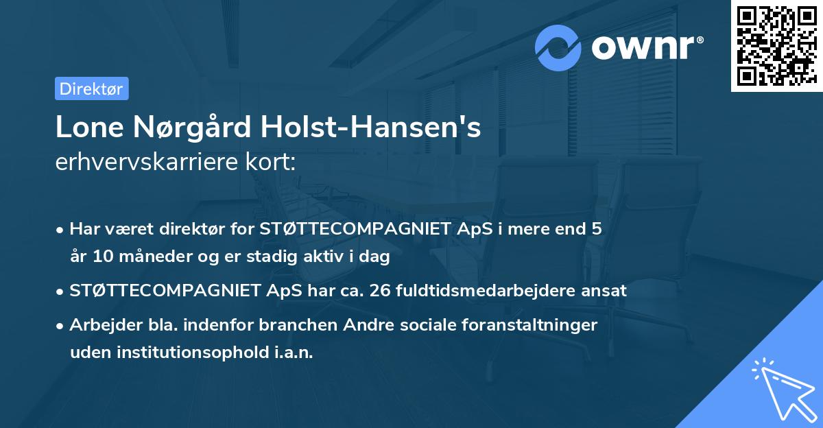 Lone Nørgård Holst-Hansen's erhvervskarriere kort