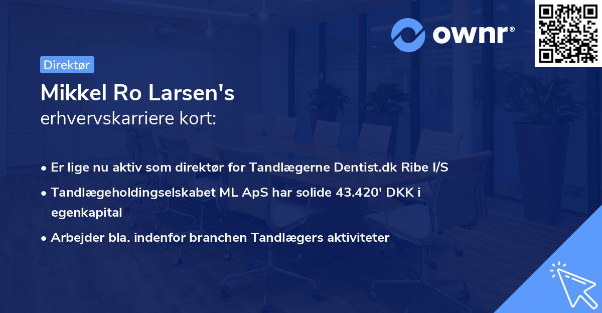 Mikkel Ro Larsen's erhvervskarriere kort