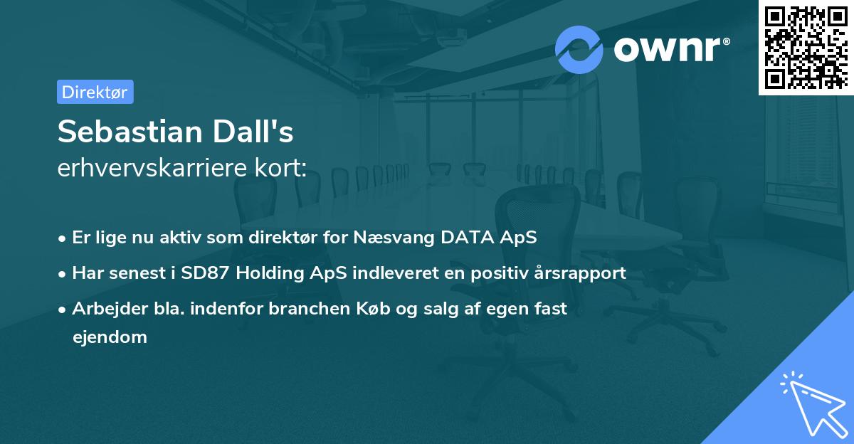Sebastian Dall's erhvervskarriere kort