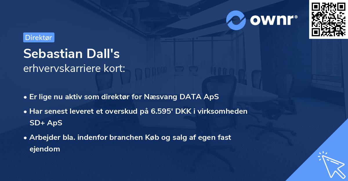 Sebastian Dall's erhvervskarriere kort