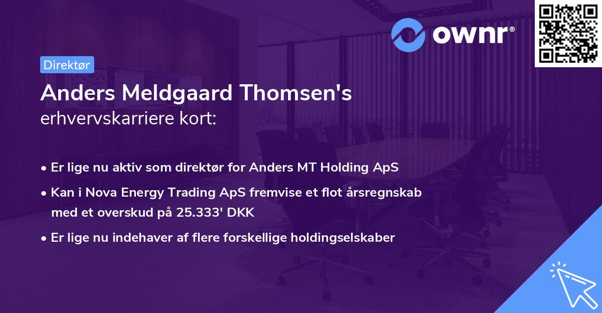 Anders Meldgaard Thomsen's erhvervskarriere kort