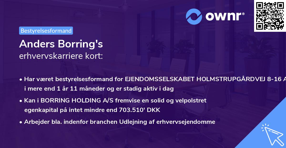 Anders Borring's erhvervskarriere kort