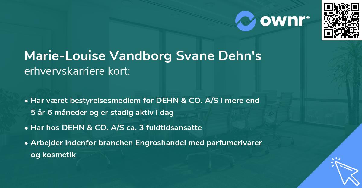 Marie-Louise Vandborg Svane Dehn's erhvervskarriere kort