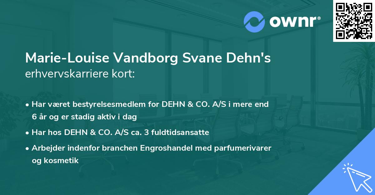 Marie-Louise Vandborg Svane Dehn's erhvervskarriere kort