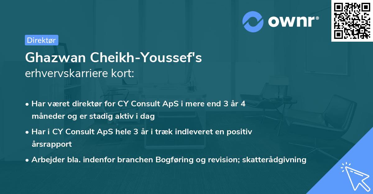 Ghazwan Cheikh-Youssef's erhvervskarriere kort