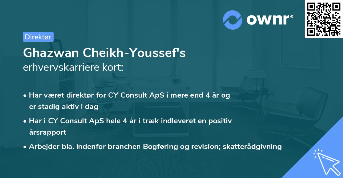 Ghazwan Cheikh-Youssef's erhvervskarriere kort