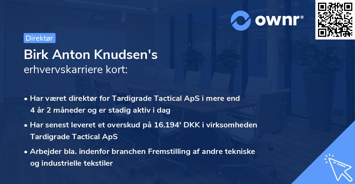 Birk Anton Knudsen's erhvervskarriere kort