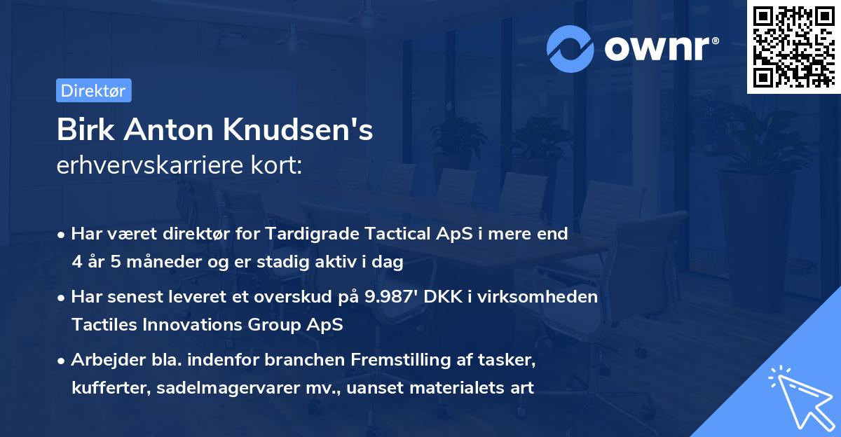 Birk Anton Knudsen's erhvervskarriere kort
