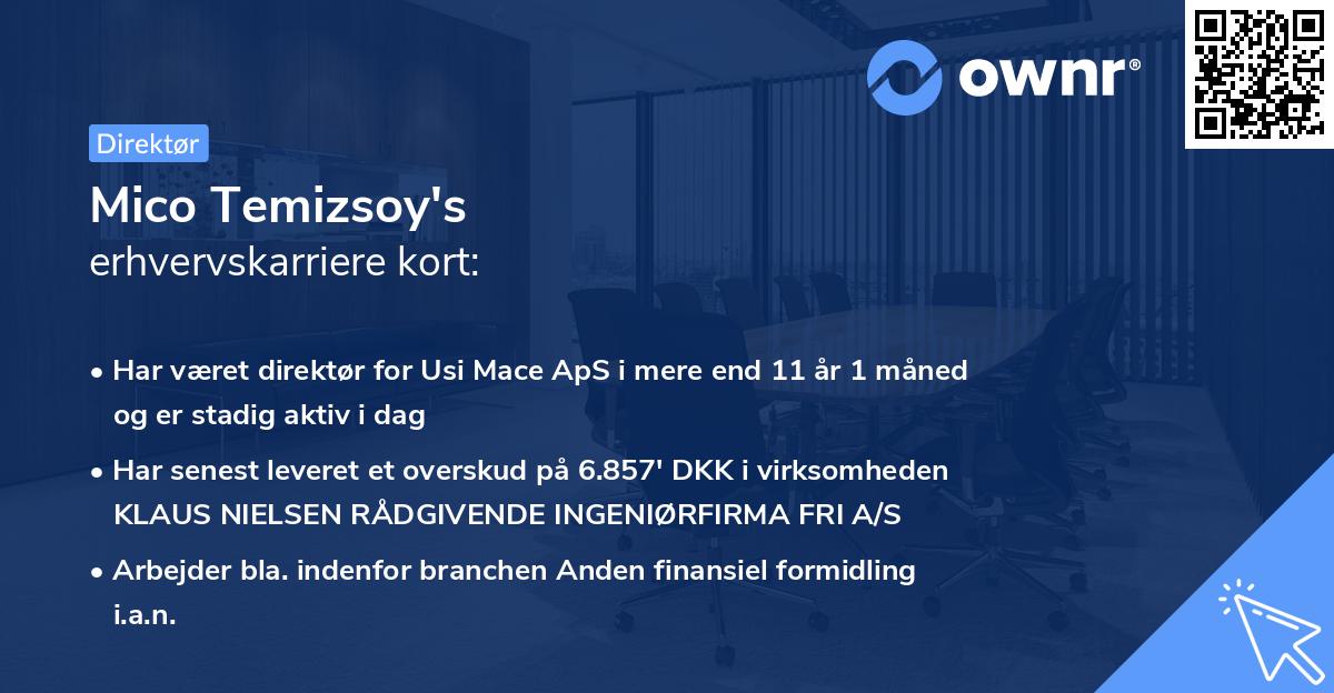Mico Temizsoy's erhvervskarriere kort