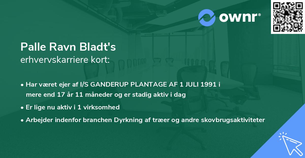 Palle Ravn Bladt's erhvervskarriere kort