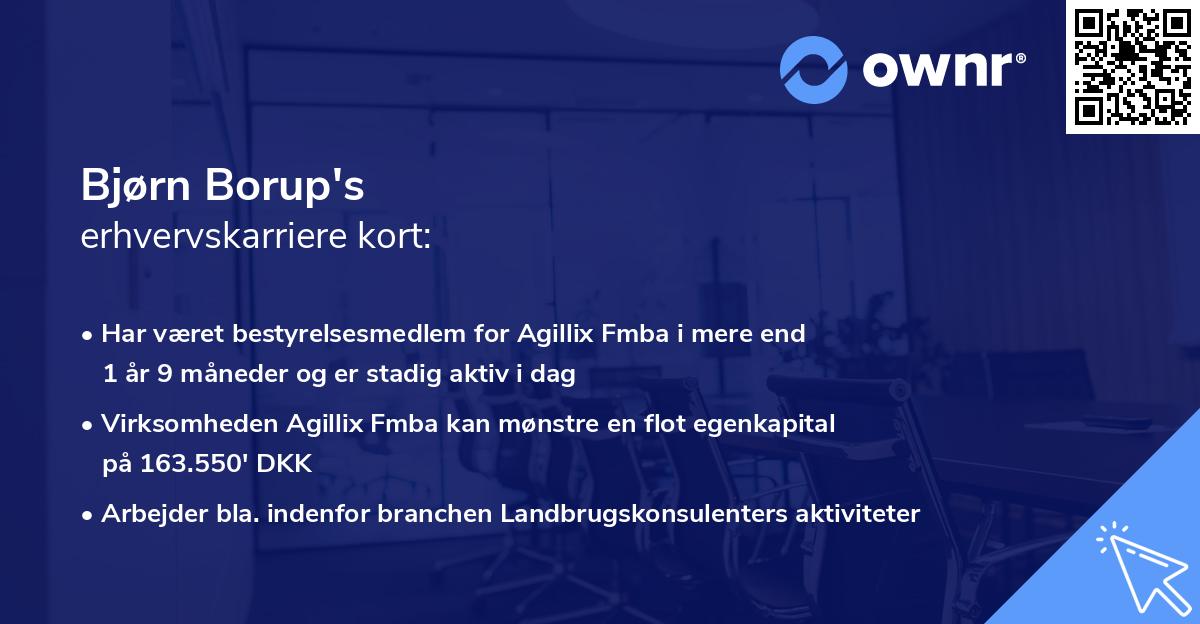Bjørn Borup's erhvervskarriere kort