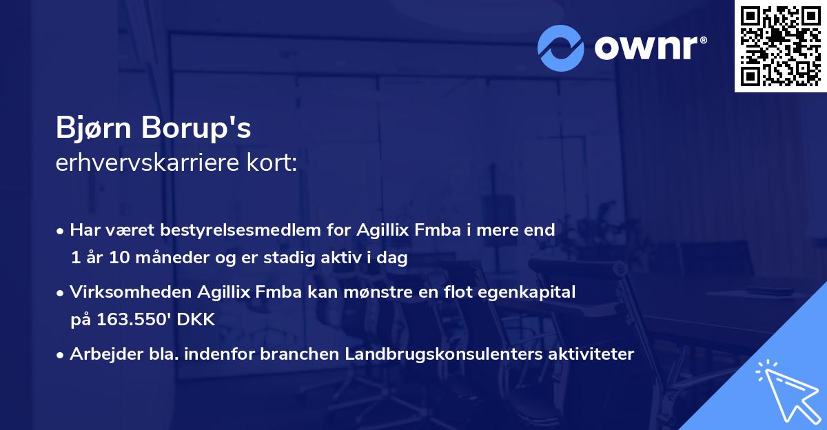 Bjørn Borup's erhvervskarriere kort