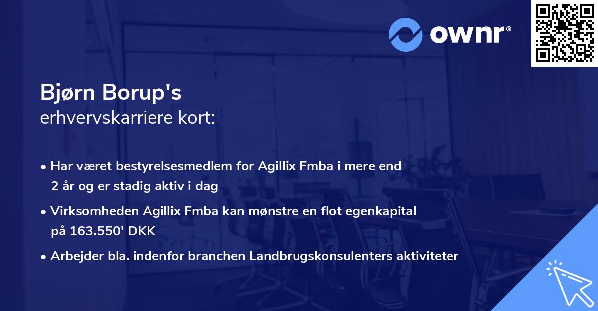 Bjørn Borup's erhvervskarriere kort