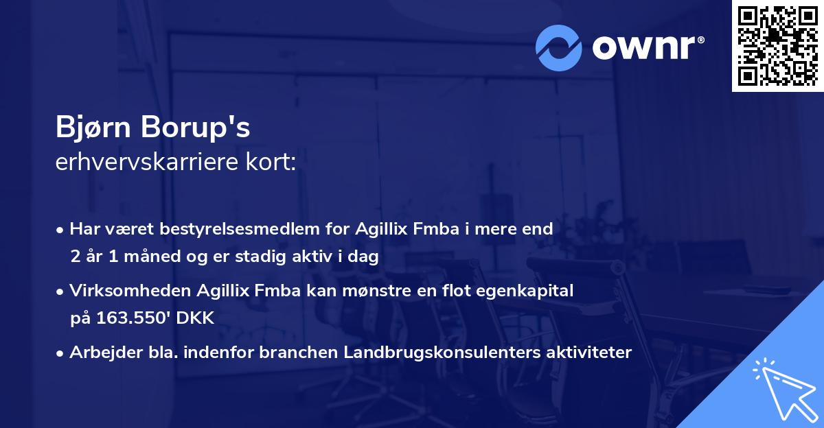 Bjørn Borup's erhvervskarriere kort