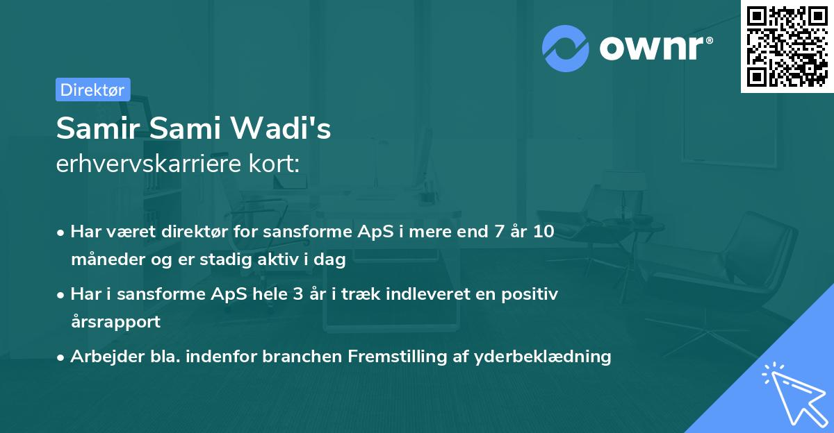 Samir Sami Wadi's erhvervskarriere kort