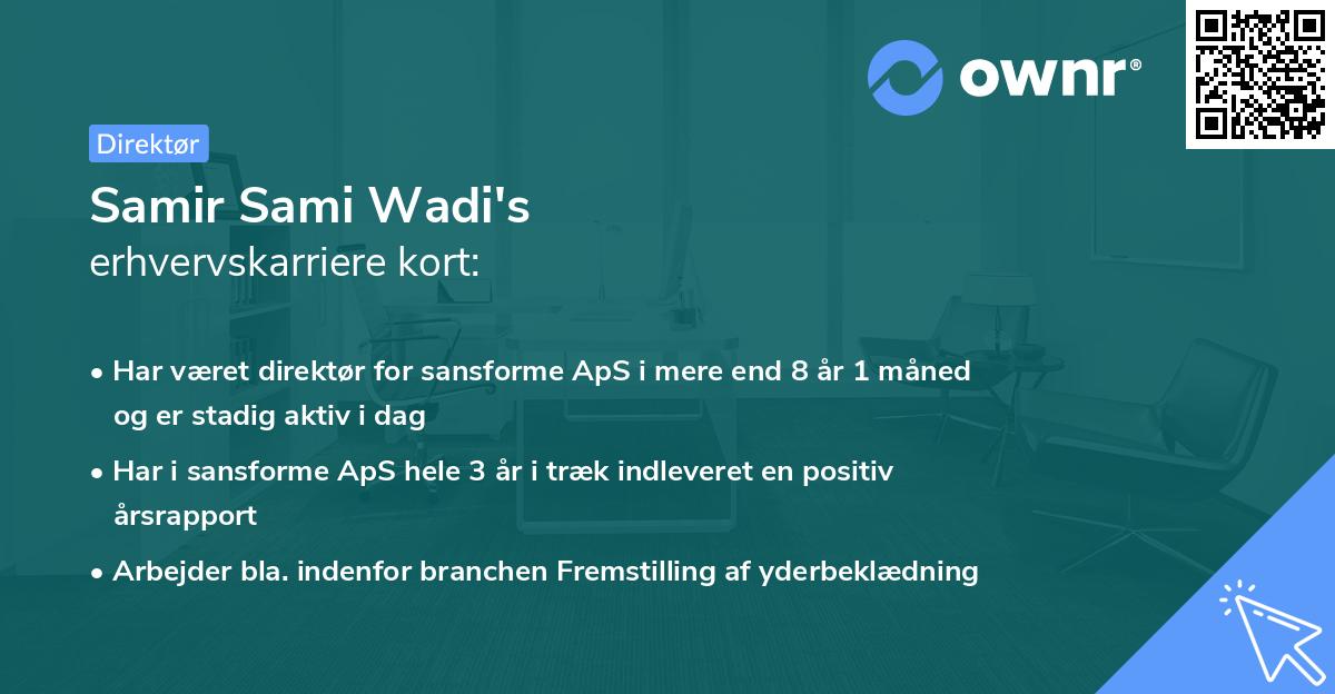 Samir Sami Wadi's erhvervskarriere kort