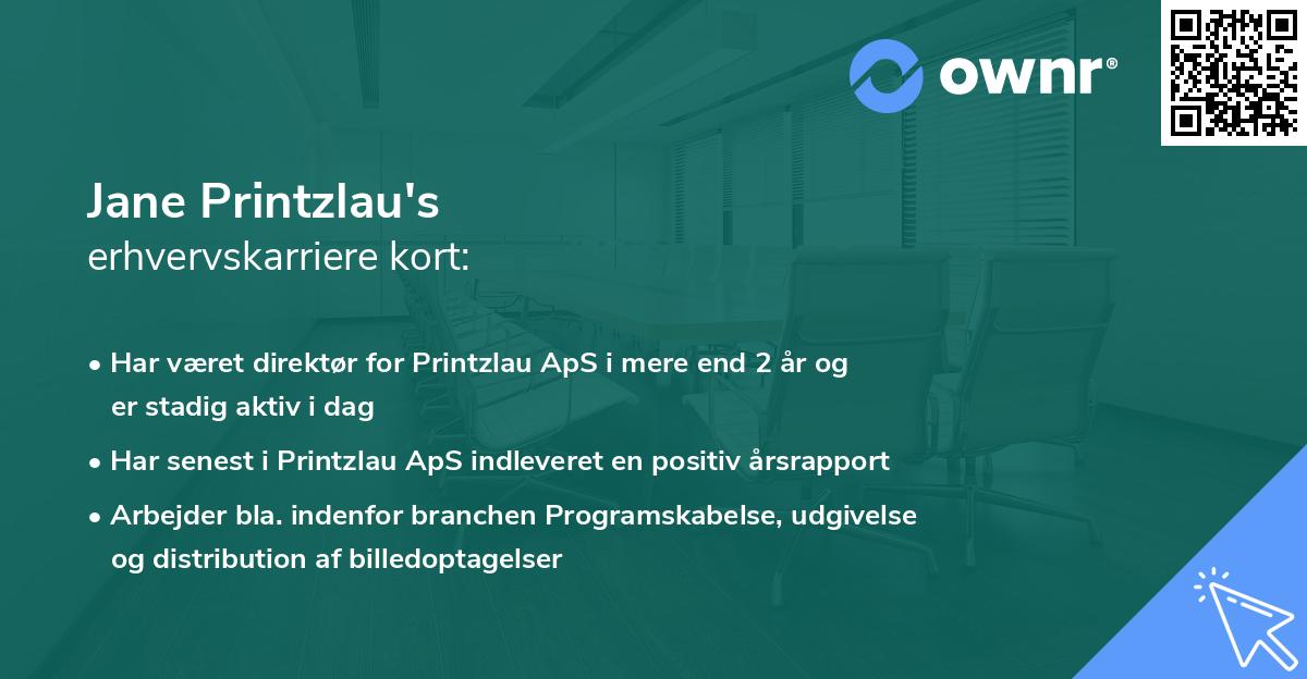 Jane Printzlau's erhvervskarriere kort