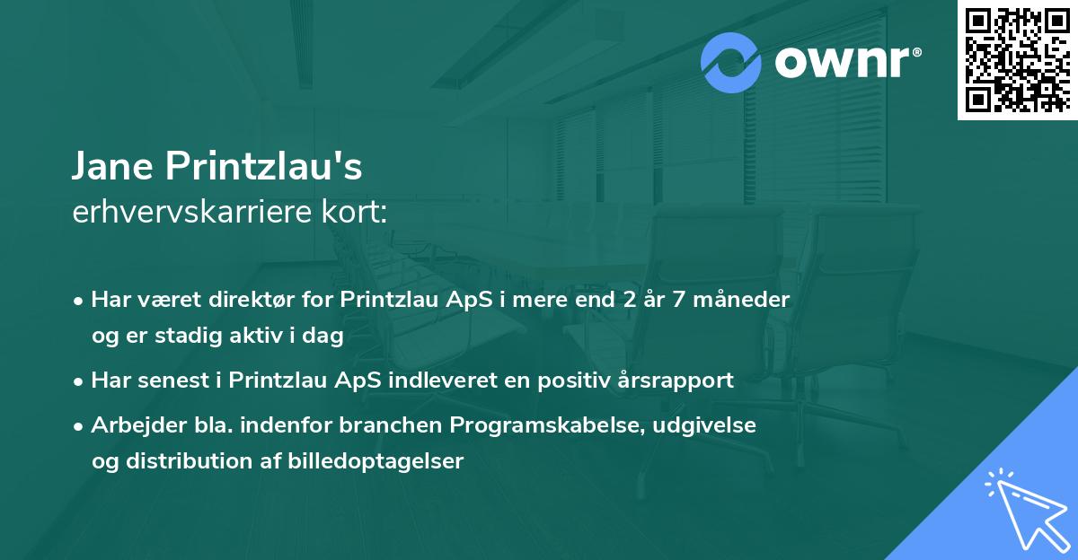Jane Printzlau's erhvervskarriere kort