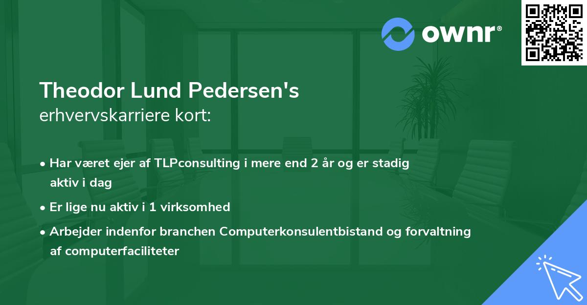 Theodor Lund Pedersen's erhvervskarriere kort