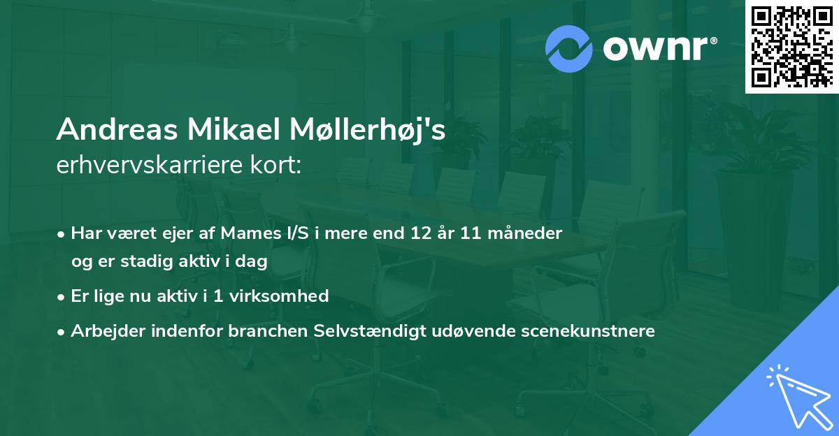 Andreas Mikael Møllerhøj's erhvervskarriere kort