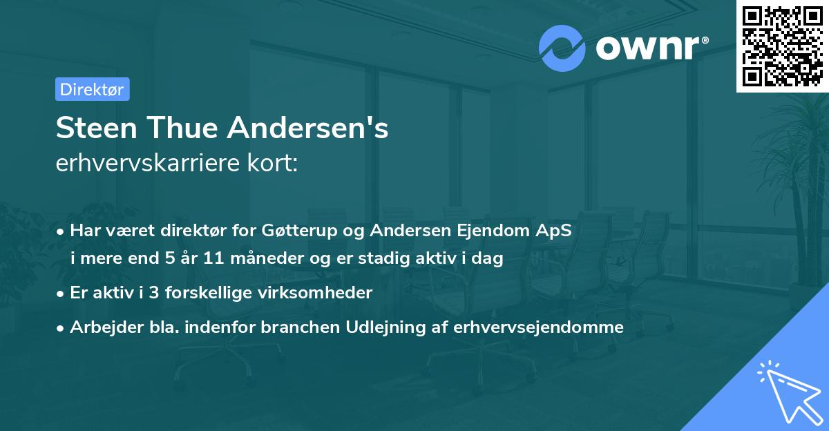 Steen Thue Andersen's erhvervskarriere kort