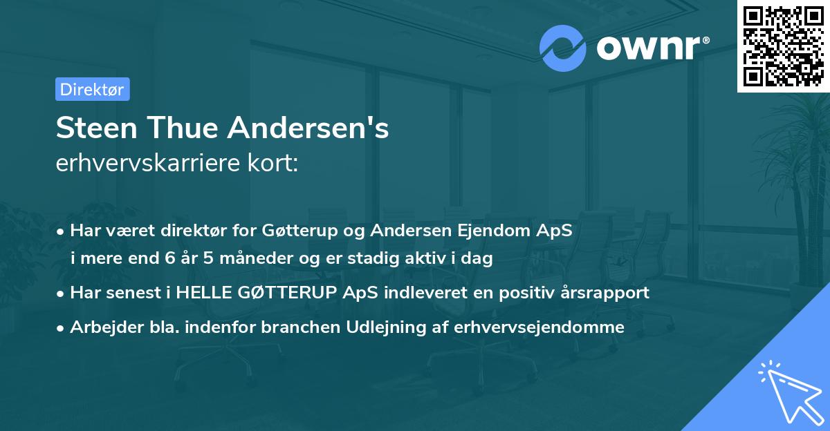 Steen Thue Andersen's erhvervskarriere kort