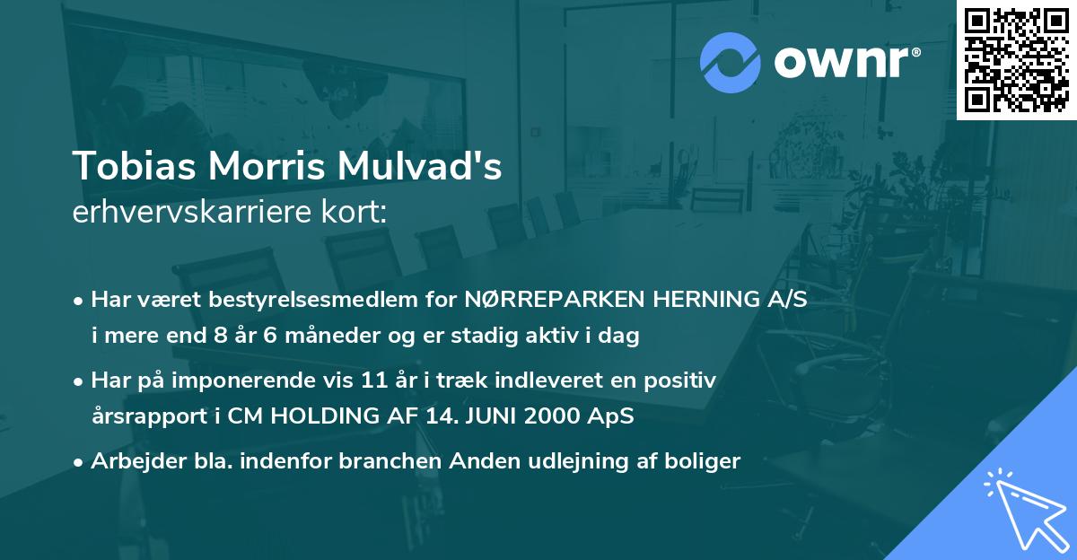 Tobias Morris Mulvad's erhvervskarriere kort