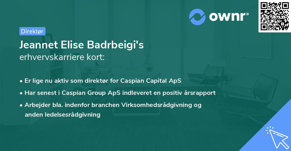 Jeannet Elise Badrbeigi's erhvervskarriere kort