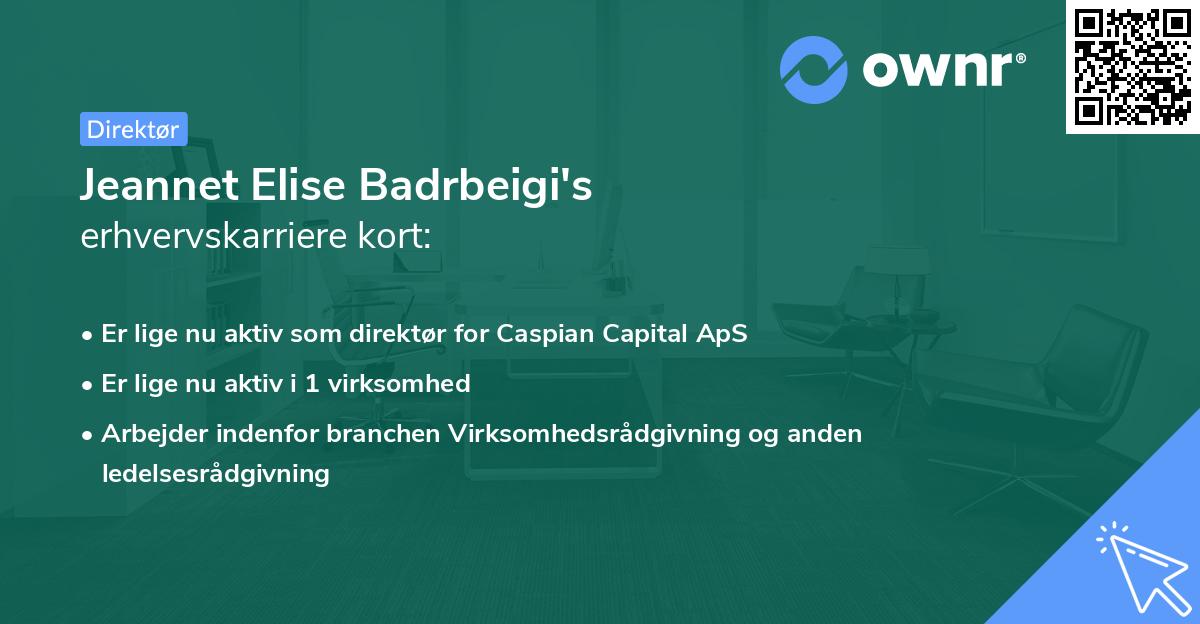 Jeannet Elise Badrbeigi's erhvervskarriere kort