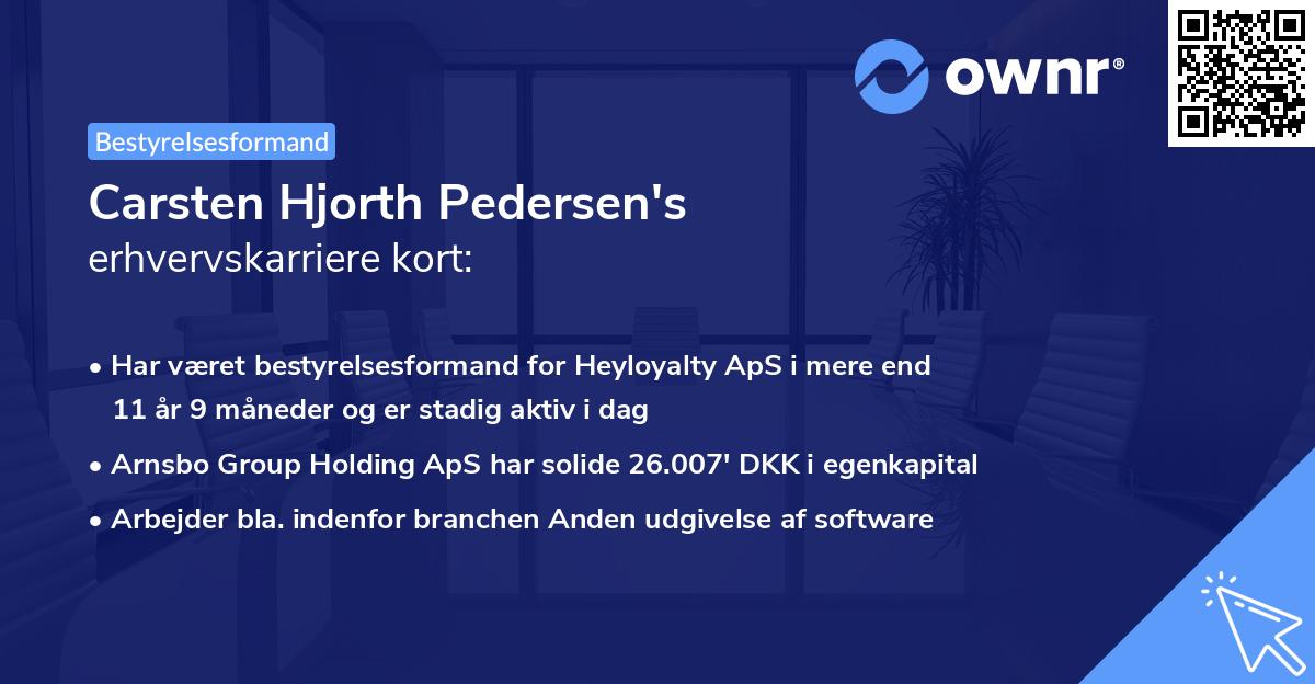 Carsten Hjorth Pedersen's erhvervskarriere kort