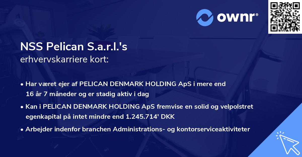 NSS Pelican S.a.r.l.'s erhvervskarriere kort